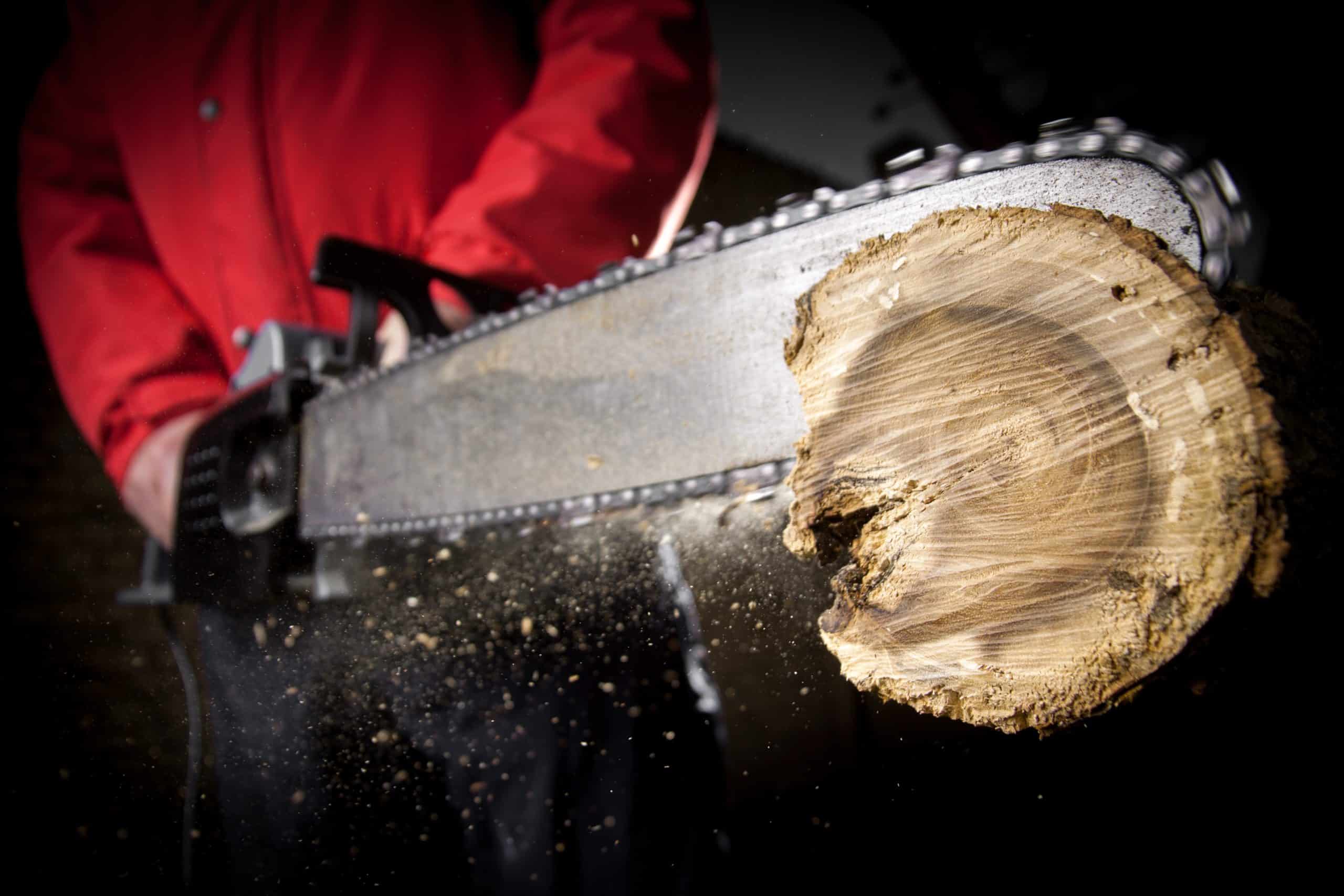 Couper facilement du bois : pourquoi utiliser une tronçonneuse ?